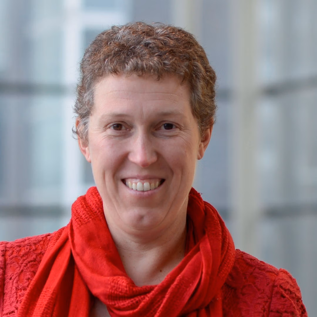 Phortify Phortify Heidi Ottevaere 4square 1