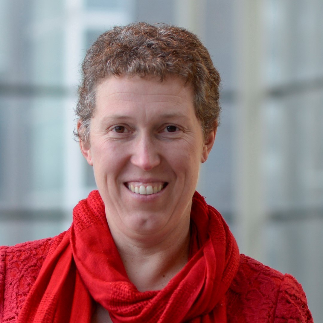Project Coordinator Prof. Dr. Ir. Heidi Ottevaere